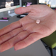 Illustration for article titled Is Sexism Behind a Delay in FDA Approval of Female Viagra?